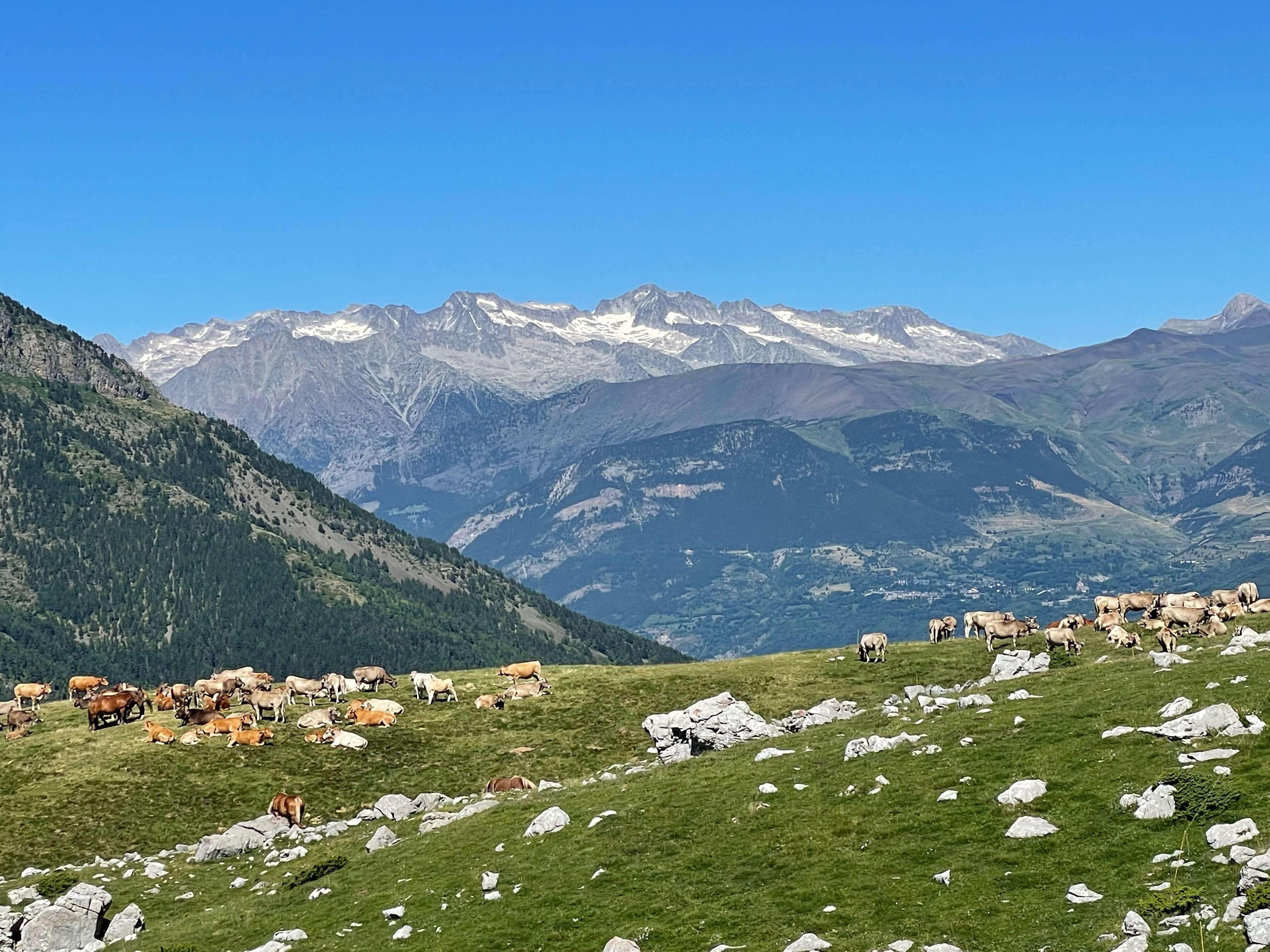 Benasque Valley Landscape