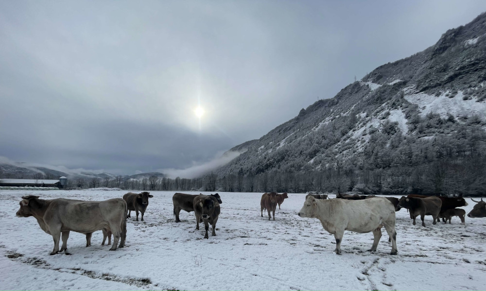 Winter Valley Barns